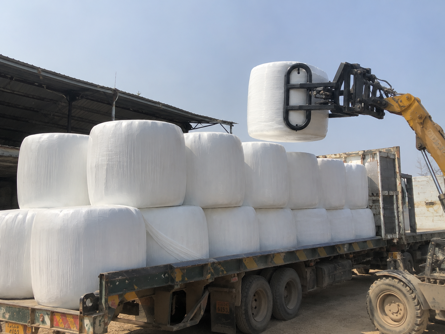 Corn Silage